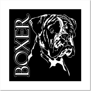 Boxer dog portrait Posters and Art